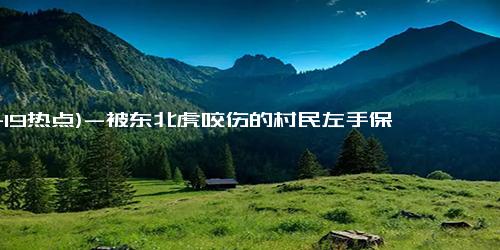 (11-19热点)-被东北虎咬伤的村民左手保住了！黑龙江勃利县回应：咬人老虎非必要不击毙，除非正伤人