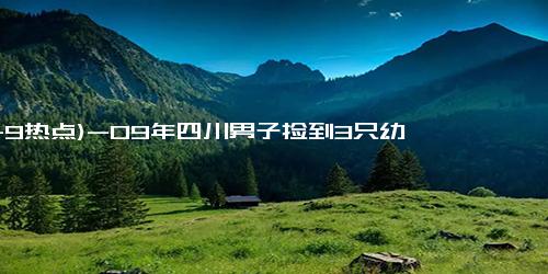 (11-9热点)-09年四川男子捡到3只幼崽，像狼又像狗，长大后替恩人看家护院