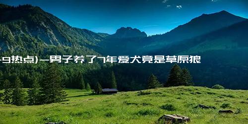 (11-9热点)-男子养了7年爱犬竟是草原狼，分别太痛苦