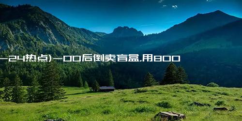 (12-24热点)-00后倒卖盲盒，用8000块半年赚了130万