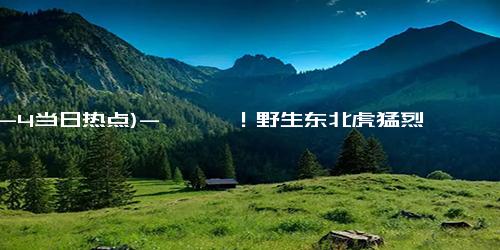 (12-4当日热点)-哐哐哐！野生东北虎猛烈撞门，有村民被咬伤！当地紧急搜寻