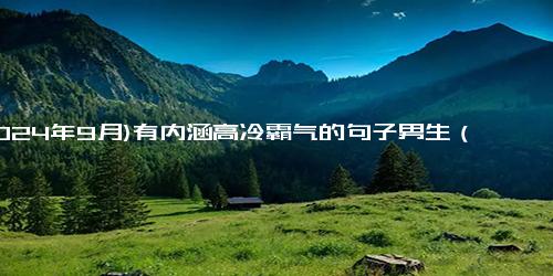 (2024年9月)有内涵高冷霸气的句子男生（霸气个性标签女生高冷）