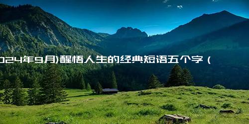 (2024年9月)醒悟人生的经典短语五个字（人生起落的经典句子）