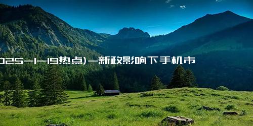 (2025-1-19热点)-新政影响下手机市场变局：6000元以下手机成消费新宠