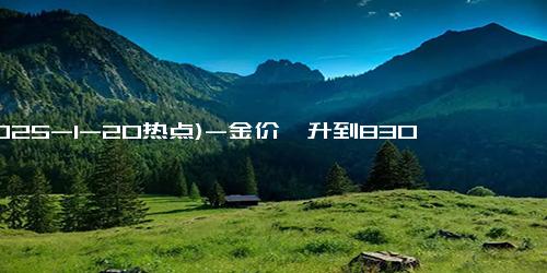 (2025-1-20热点)-金价飙升到830元，散户为何争相购金？