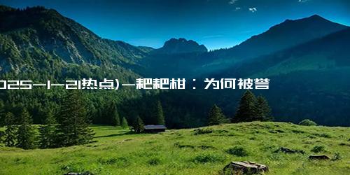 (2025-1-21热点)-耙耙柑：为何被誉为“最善良”的水果？