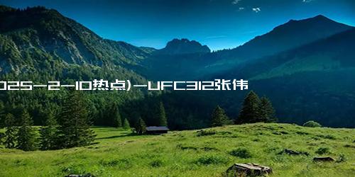 (2025-2-10热点)-UFC312张伟丽跟苏亚雷斯的比赛，张伟丽将会收获270万美元的奖金