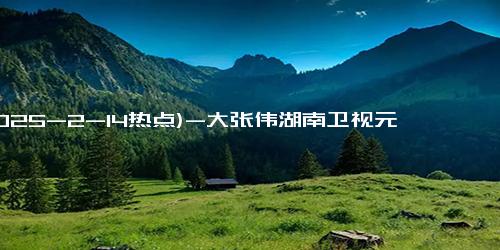 (2025-2-14热点)-大张伟湖南卫视元宵喜乐会表演，伴舞造型引网友热议，被戏称“无量仙翁”