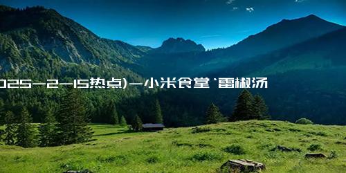 (2025-2-15热点)-小米食堂‘雷椒汤圆’火了！雷军直播吃汤圆，网友：雷总真香！