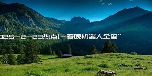 (2025-2-23热点)-春晚机器人全国“打工”：日租金最高1.5万元，商家收入超20万元