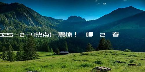 (2025-2-4热点)-震惊！《哪吒2》春节档票房破90亿，郑州影院竟开2000人厅！