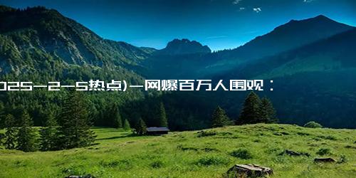 (2025-2-5热点)-网爆百万人围观：《哪吒2》票房大卖，背后公司盈利或近30亿