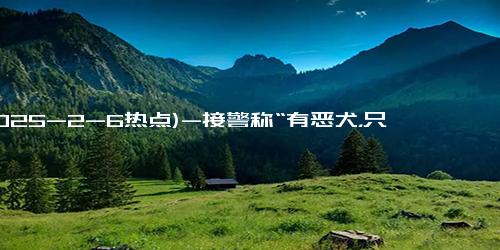 (2025-2-6热点)-接警称“有恶犬，只比藏獒小点”，到达现场后哭笑不得，它...