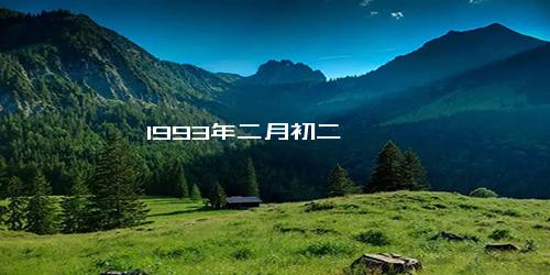 1993年二月初二