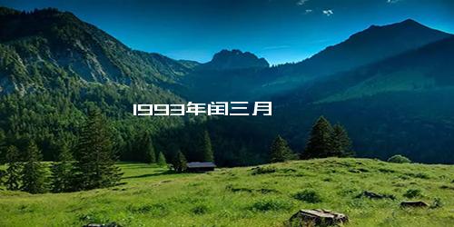 1993年闰三月