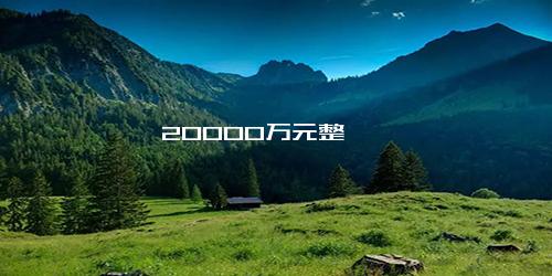 20000万元整