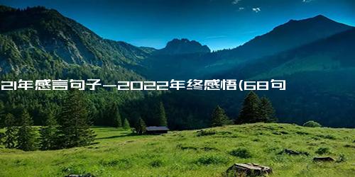 2021年感言句子-2022年终感悟(68句)