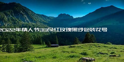 2022年情人节33朵红玫瑰黑纱包装花号