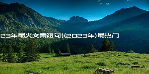 2023年最火文案短句((2023年)最热门营销短语，你不可错过)