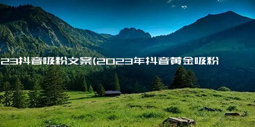 2023抖音吸粉文案(2023年抖音黄金吸粉文案指南)