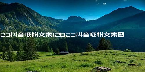 2023抖音吸粉文案(2023抖音吸粉文案图片大全)