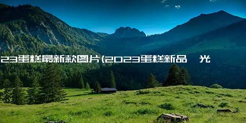 2023蛋糕最新款图片(2023蛋糕新品曝光，别具风味)