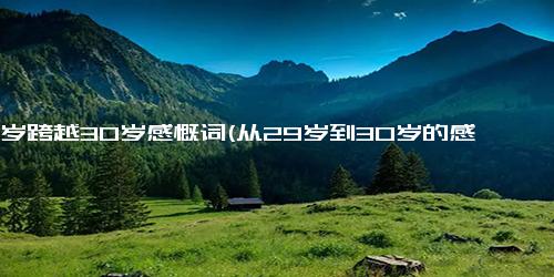 29岁跨越30岁感慨词(从29岁到30岁的感悟)