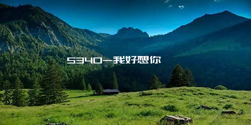 5340-我好想你