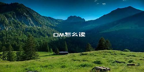 DM怎么读