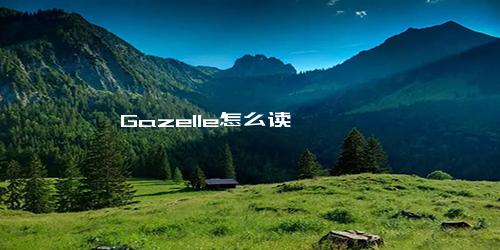 Gazelle怎么读