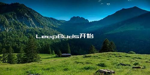 LeapBuds开始