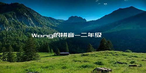 Wang的拼音-二年级