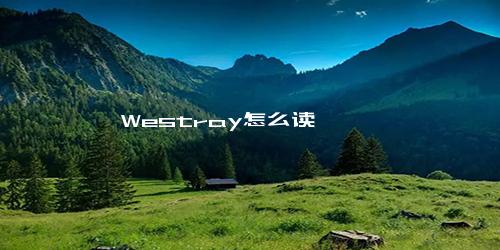 Westray怎么读