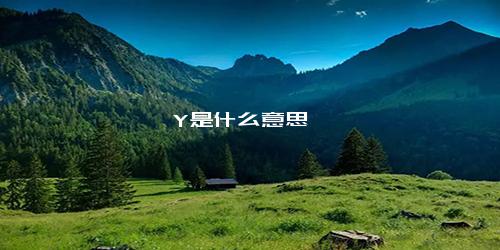 Y是什么意思