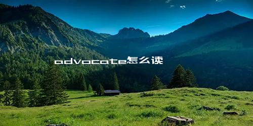 advocate怎么读