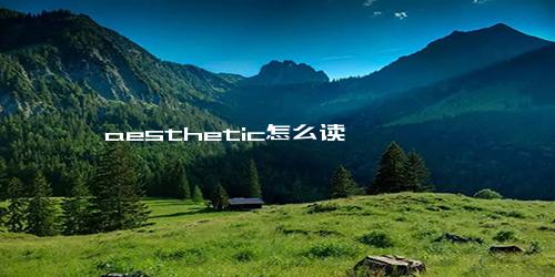 aesthetic怎么读