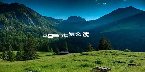 agent怎么读