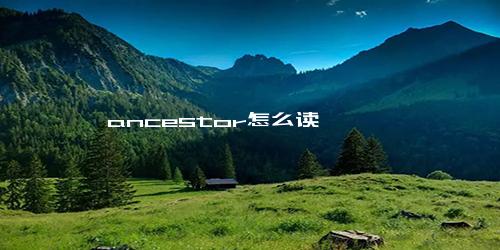 ancestor怎么读