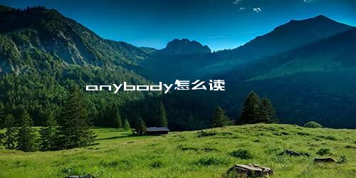 anybody怎么读