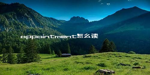 appointment怎么读