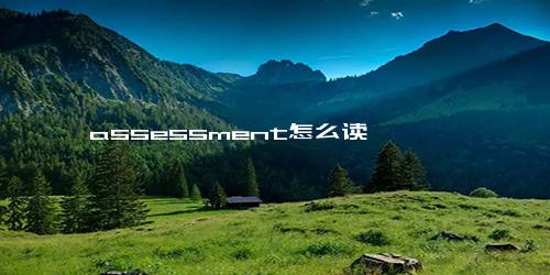 assessment怎么读