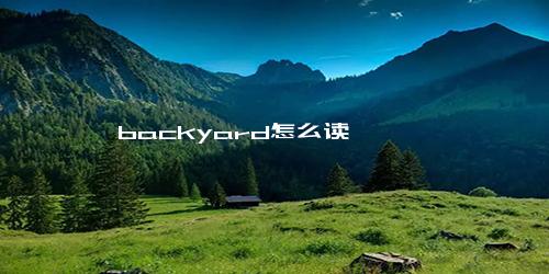 backyard怎么读