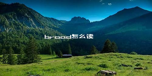 broad怎么读