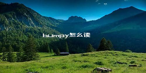 bumpy怎么读