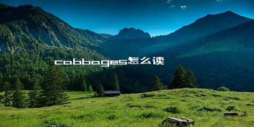 cabbages怎么读