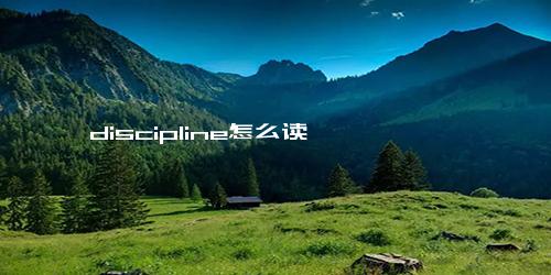 discipline怎么读