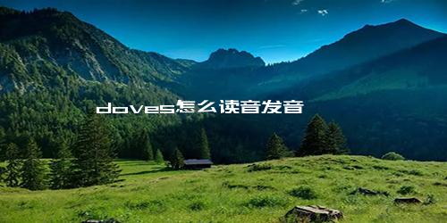 doves怎么读音发音