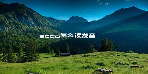 ecco怎么读发音