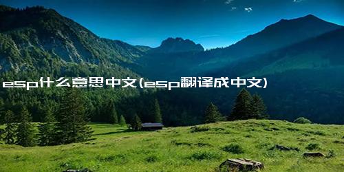 esp什么意思中文(esp翻译成中文)