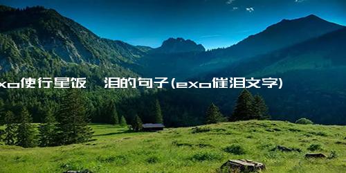 exo使行星饭飙泪的句子(exo催泪文字)